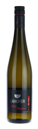 Müller Thurgau, kab.